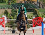 GOVONI WINN WINN CampITA2013- S5 9002 : Campionati Italiani 2013, Cattolica, GOVONI GIANNI, Horse Riviera Resort, WINN WINN, foto di Stefano Secchi ©